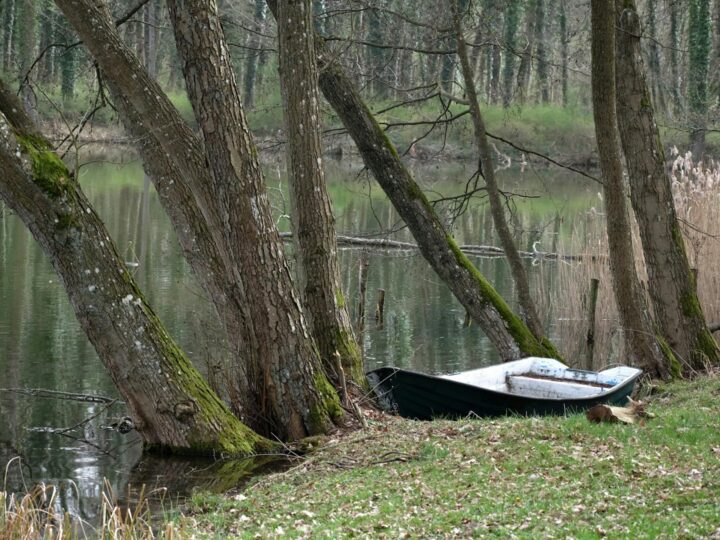 Parque Jan Kasprowicz em Wrocaw
